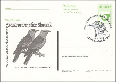 ZLATOVRANKA - CORACIAS GARRULUS